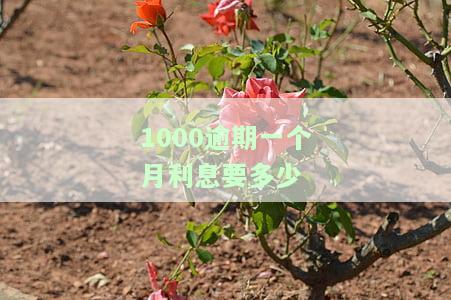 1000块逾期一年还多少？利息、还款金额及可能的法律后果全解析！