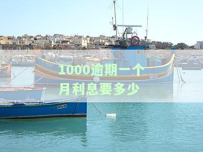 逾期1000元会否上征信？逾期多久会被起诉？