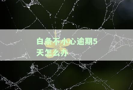 白条逾期5天有事吗？影响及解决办法