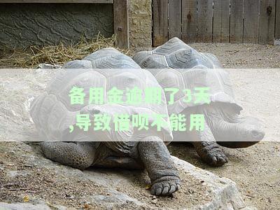 备用金逾期了3天,导致借呗不能用怎么办，备用金逾期3天，借呗受限，如何解决？