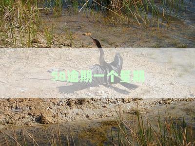 58逾期一个星期会有什么后果？