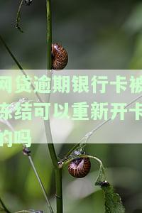网贷逾期银行卡被冻结：能否重新开卡？解冻后如何还款？