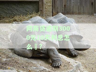 网商贷逾期3000元10天利息怎么箄?