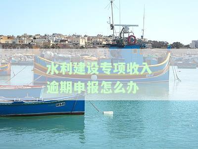 水利建设专收入逾期申报怎么办呢，如何处理水利建设专收入逾期申报？