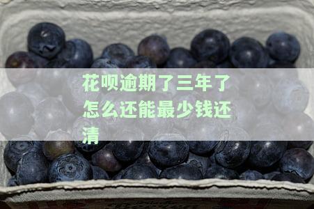 花呗逾期了三年了怎么还能最少钱还清呢，如何解决花呗逾期三年的问题并最小化还款金额？