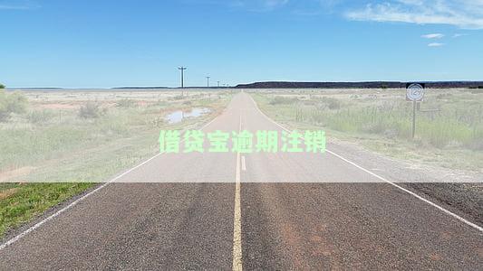 借贷宝逾期注销会怎么样，了解借贷宝逾期注销的后果