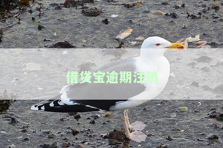 借贷宝注销后是否能重新注册？账号注销后能否恢复？注销后如何登录？