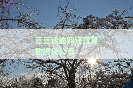 豆豆钱逾期了但是被保险公司代还了怎么办，保险公司代还豆豆钱逾期欠款，后续处理步骤解析
