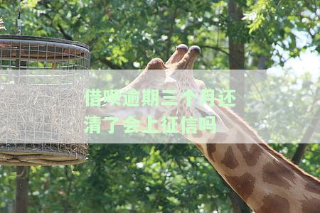 借呗逾期三个月还清后是否会影响征信？解答你的疑惑