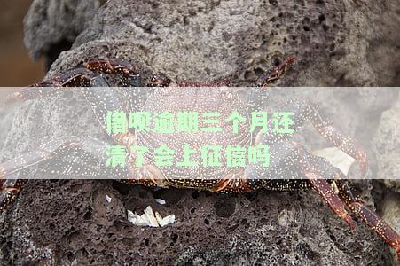 借呗逾期三个月还清了会上征信吗，关于借呗逾期三个月的还款问题，是否会影响个人征信记录？