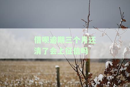 借呗逾期三个月还了之后多久可以再用，借呗逾期三个月还款后，需要多长时间才能再次使用？