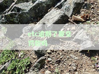 etc逾期了要交罚款吗怎么处理，如何应对Etc逾期罚款？你需要知道的处理方式