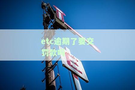 etc逾期了要交罚款吗怎么办，如何处理etc逾期并缴纳罚款？