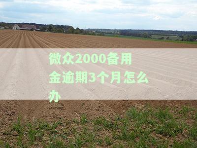 微众2000备用金逾期3个月，如何办理还款及应对催收？