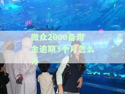 微众2000备用金逾期一天，逾期一天还款，微众2000备用金会产生哪些后果？