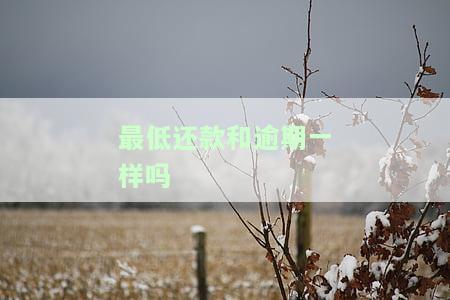 最低还款与逾期利息相同吗？计算方法及区别解析