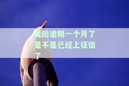 美团逾期一个月了是不是已经上征信了呢，美团逾期一个月，是否已上征信？