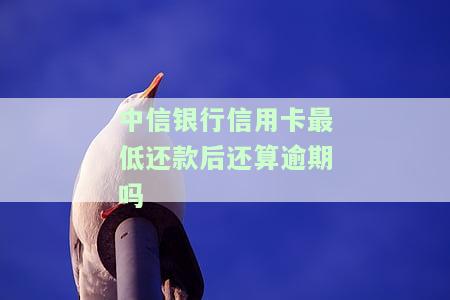 中信银行信用卡最低还款后还算逾期吗怎么办，中信银行信用卡最低还款后是否算逾期？解决方案解析