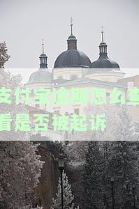 支付宝逾期怎么查是否上征信？全攻略！