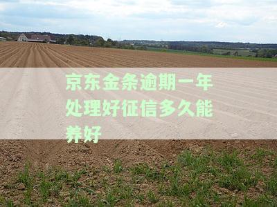 京东金条逾期上报征信,征信会受到影响吗，京东金条逾期还款是否会影响个人征信？