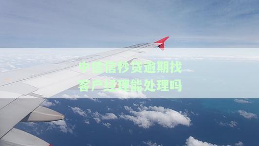 中信银行信秒贷逾期有协商成功的吗，中信银行信秒贷逾期：有用户成功协商还款吗？