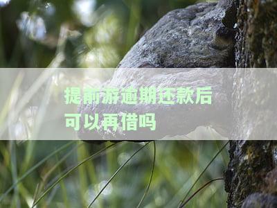 提前游逾期还款后可以再借吗