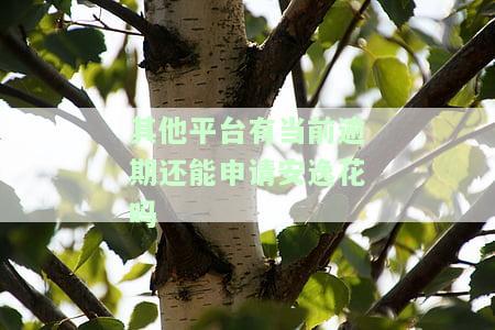 其他平台有逾期还能在别的平台借款吗，逾期记录会影响在其他平台借款吗？