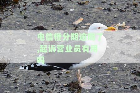 电信橙分期逾期多久能恢复正常征信？逾期11个月、4个月后还款有何影响？正常还款会否影响征信？中国电信橙分期是否会影响征信？有人使用过吗？逾期未还会有哪些后果？