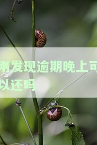 刚发现逾期晚上可以还吗-刚逾期就还了上征信吗