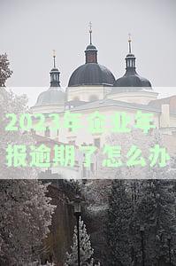 2020年企业年报期，因疫情影响，2020年企业年报期提交