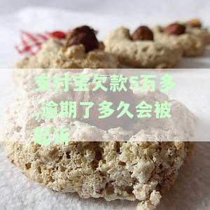 支付宝欠款5万多,逾期了多久会被起诉呢，支付宝欠款5万多，逾期多久会面临被起诉的风险？