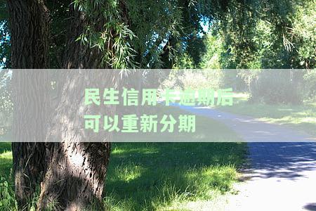 民生银行逾期了可以还一部分然后分期吗，如何处理民生银行信用卡逾期：一次性还款与分期还款的选择