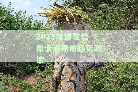 欠浦发信用卡被起诉,判决生效后会怎么样，欠浦发信用卡被起诉，判决生效后的后果是什么？