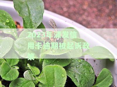浦发逾期三个月就不能协商还款了吗，浦发银行：逾期三个月后，是否还有协商还款的可能性？