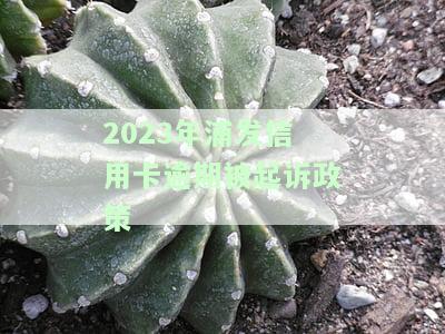 2023年浦发信用卡逾期被起诉政策-2020年浦发信用卡逾期起诉的概率大吗