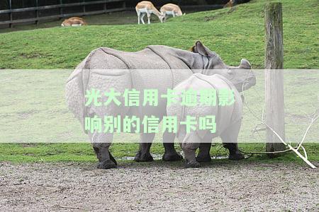 光大信用卡逾期影响别的信用卡吗-光大信用卡逾期影响别的信用卡吗怎么办