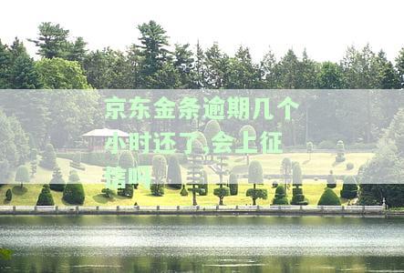 京东金条逾期几个小时还了，会上征信吗？逾期攻略及影响解析！