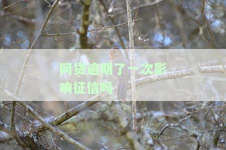 网贷逾期过一次：能否再次借款？影响及解决方法