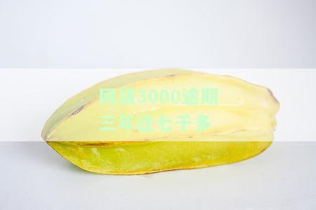 网贷3000逾期3年能否立案？如何处理及法院判决情况？逾期三年需要还款多少，利息如何计算？