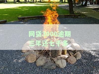 3000网贷逾期3年会起诉吗？了解可能的法律后果与应对策略