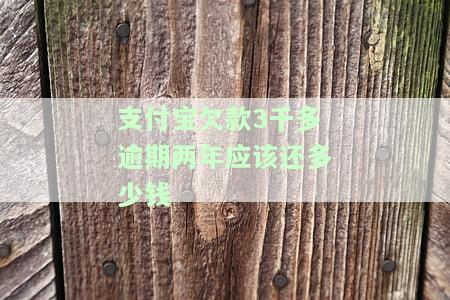 支付宝逾期3000两年多没还，会坐牢吗？