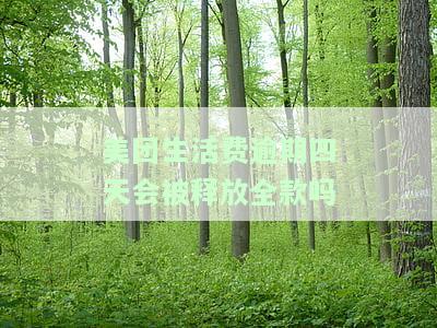 美团生活费逾期4天会怎么样，美团生活费逾期4天的后果是什么？