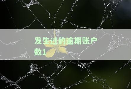 发生过的逾期账户数为什么是红色，逾期账户数为何以红色呈现？原因解析