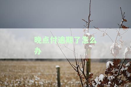 晚点付逾期了怎么办