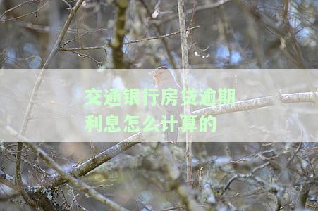 交通银行房贷逾期利息怎么计算的呢，如何计算交通银行房贷的逾期利息？