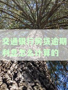 交通银行房贷逾期利息怎么计算的呀，详解交通银行房贷逾期利息计算方法