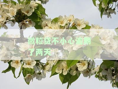 微粒贷不小心逾期两天有影响吗？后果严重，需及时处理！