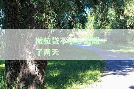 微粒贷逾期了两天对之后的借款有影响吗，微粒贷逾期两天会如何影响后续借款？