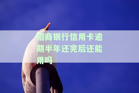 招商银行信用卡逾期半年还完后还能用吗