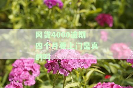 网贷4000逾期四个月要上门是真的吗吗，网贷逾期四个月，真的会被上门催收吗？4000元为例解析